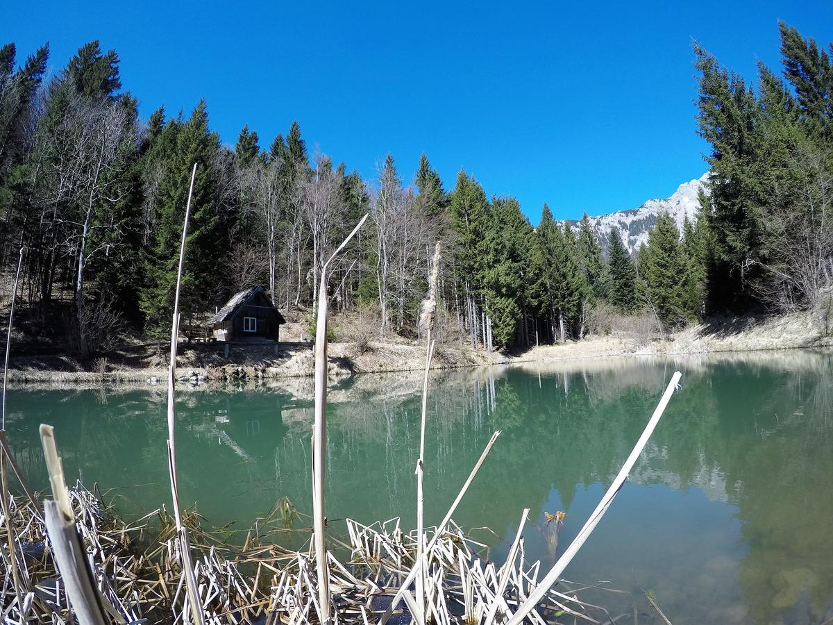 Bed and Breakfast Karami Mountainhouse Tržič Zewnętrze zdjęcie